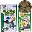 Hikari Tropical Algae Wafers -- 8.8 oz