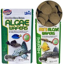 Hikari Tropical Algae Wafers -- 8.8 oz