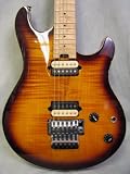 Used HP Special FT Tremolo Flame Top Tobacco Burst