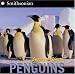 Penguins (Smithsonian)