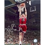 Kirk Hinrich Chicago Bulls -Dunk- 8x10 Autographed Photograph