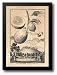 Cucumber Lemon 15x21 Framed Art Print by Volckamer, Johann Christof