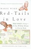 Red-Tails In Love: A Wildlife Drama in Central Park