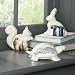 narrative animals, turtle, black from West Elm