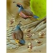 Parenting 500pc Jigsaw Puzzle by D.N. Miller