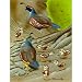 Parenting 500pc Jigsaw Puzzle by D.N. Miller