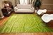 Feraghan/New City New Floral City Brand New Contemporary Modern Area Rug, 2' x 3', Green/White