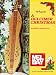 Books : Mel Bay A Dulcimer Christmas