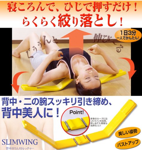福辻式　背中スリムストレッチャー