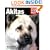 Akitas (A Complete Pet Owner's Manual)