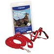 Premier Come with me Kitty Harness Large Royal Blue