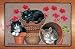 Flowerpots Cats Decorative Mat