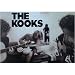 Kooks - Posters Guitars