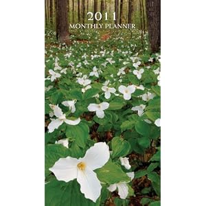 (checkbook size) calendar
