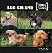 Les chiens