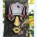 New England Patriots NFL Forest Face (14x7)