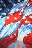 Backdrop City Freedom Flag