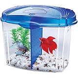 Aqueon 01206 Betta Bowl Starter Kit