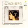 Sch�nberg: STRING QUARTET D MAJOR / STRING QUARTET OP 7
