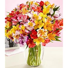 100 Blooms of Christmas Cheer