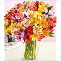 Fresh Flowers, Outdoor...