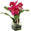 Dendrobium Orchid in square vase - Fuchsia(17 x 14 x 17")
