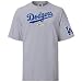 Nike L.A. Dodgers Ash Practice T-shirt