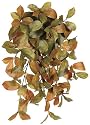 24 Inch Beech Leaf Hanging Bush - Brown and Green - Qty of 6