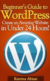 Beginners Guide to WordPress: Create an Amazing Website in Under 24 Hours!