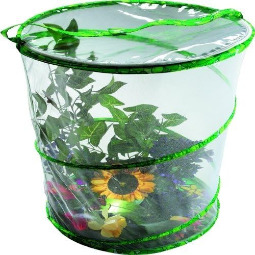 Butterfly Garden School Kit