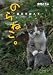 中川こうじ: のらねこ。-震災を越えて-