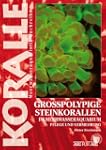 Gro�polypige Steinkorallen: Im Meerwa...