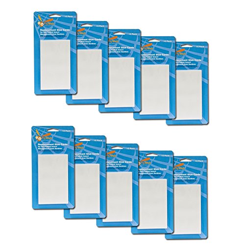 Flyweb Replacement Glueboards 10 Packs of 10 (100 Glueboards)