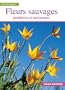 Fleurs sauvages famili�res et m�connues
