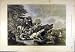 1877 HUNTING BOAR HOUNDS DOGS SPORT PRINT