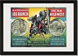 Framed Art Poster 20x30, Iron Tail Nickel