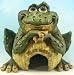 Frog Garden Toad House