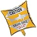Creative Converting Shark Splash Square Metallic Balloon, 18-Inch