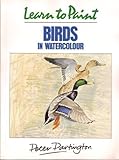 Learn to paint birds in watercolour