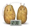 Toysmith 4 M Potato Clock # 4568