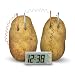 Toysmith 4 M Potato Clock # 4568