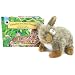 Cottontail at Clover Crescent (Smithsonians Backyard Series : Including 12" Plush Toy)