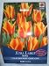 De Ree Xtra Large Bulbs Tulip Rockery Cape Cod Siz