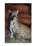 Sitting Leopard - Poster by Rajendra Singh (11 x 14)