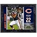 Mounted Memories Chicago Bears Matt Forte 8X10 Color Plaque Size: One Size
