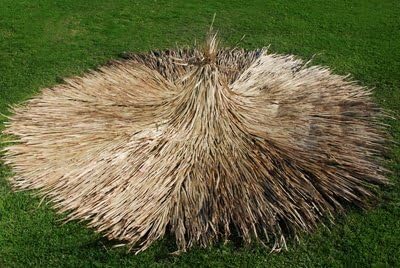 7 Ft Mexican Thatch Umbrella Cover by Thatch Imports