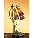 Meyda Tiffany 13674 3-Light Lily, Mahogany Bronze Finish with Amber/Purple