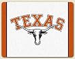 Large Cutting Board ~ University of Texas Longhorns logo ~ made of tempered g...