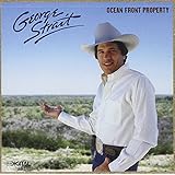 Ocean Front Property