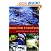 Emerging Threats to Tropical Forests